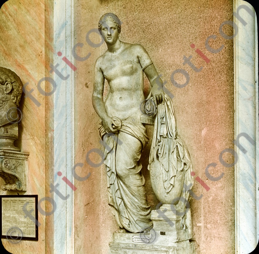 Venus | Venus - Foto foticon-simon-035-050.jpg | foticon.de - Bilddatenbank für Motive aus Geschichte und Kultur